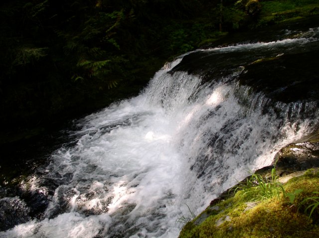 5.29.06 Siouxon Creek 031 